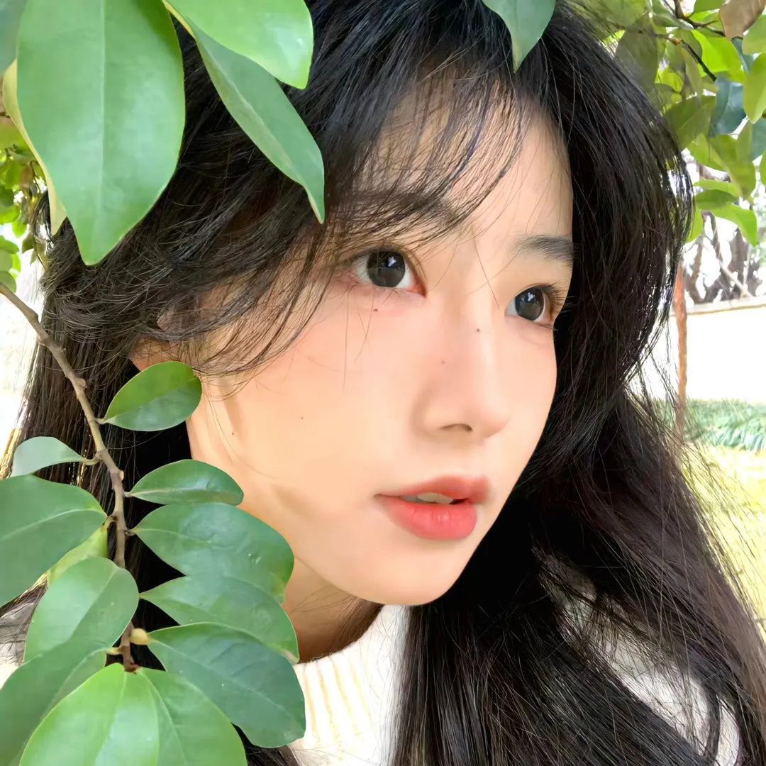 十宫女